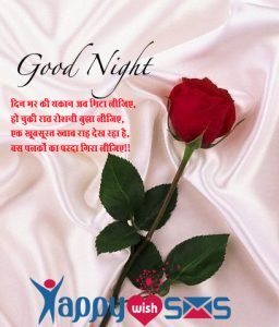 Read more about the article Good night wish: दिन भर की थकान अब मिटा लीजिए,