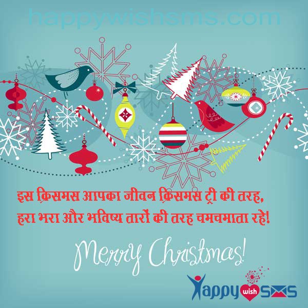 Read more about the article Best Chirstmas Wishes 2018 : इस क्रिसमस आपका जीवन क्रिसमस ट्री की तरह,