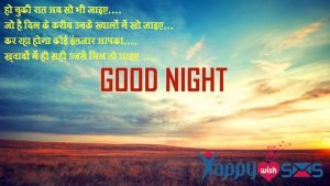 Read more about the article Good Night Wishes : हो चुकी रात अब सो भी जाइए….