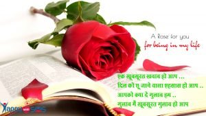 Read more about the article Rose Day Sms : एक खूबसूरत खवाब हो आप …